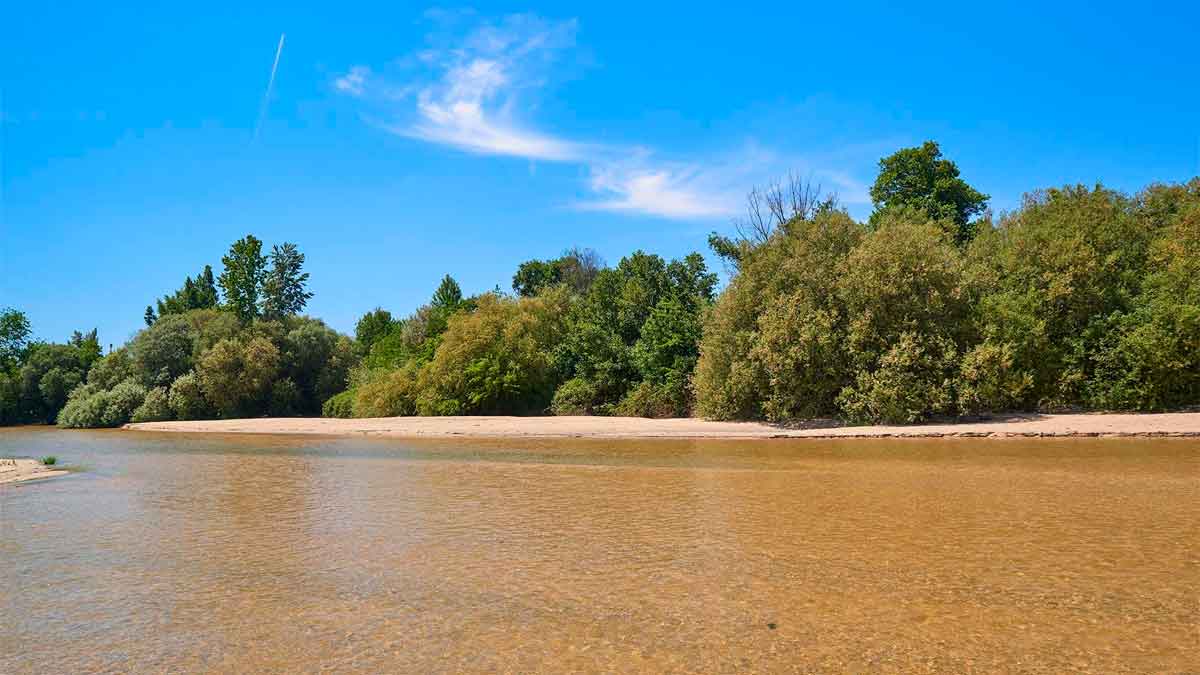 Playa del Alberche en Aldea del Fresno Vista panorámica de la Playa del Alberche con arena, aguas claras del río y pinos en la orilla