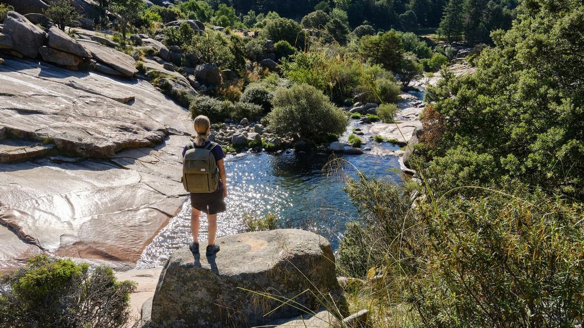 Senderistas caminando por un bosque otoñal en la Sierra de Madrid con hojas caídas y niebla suave