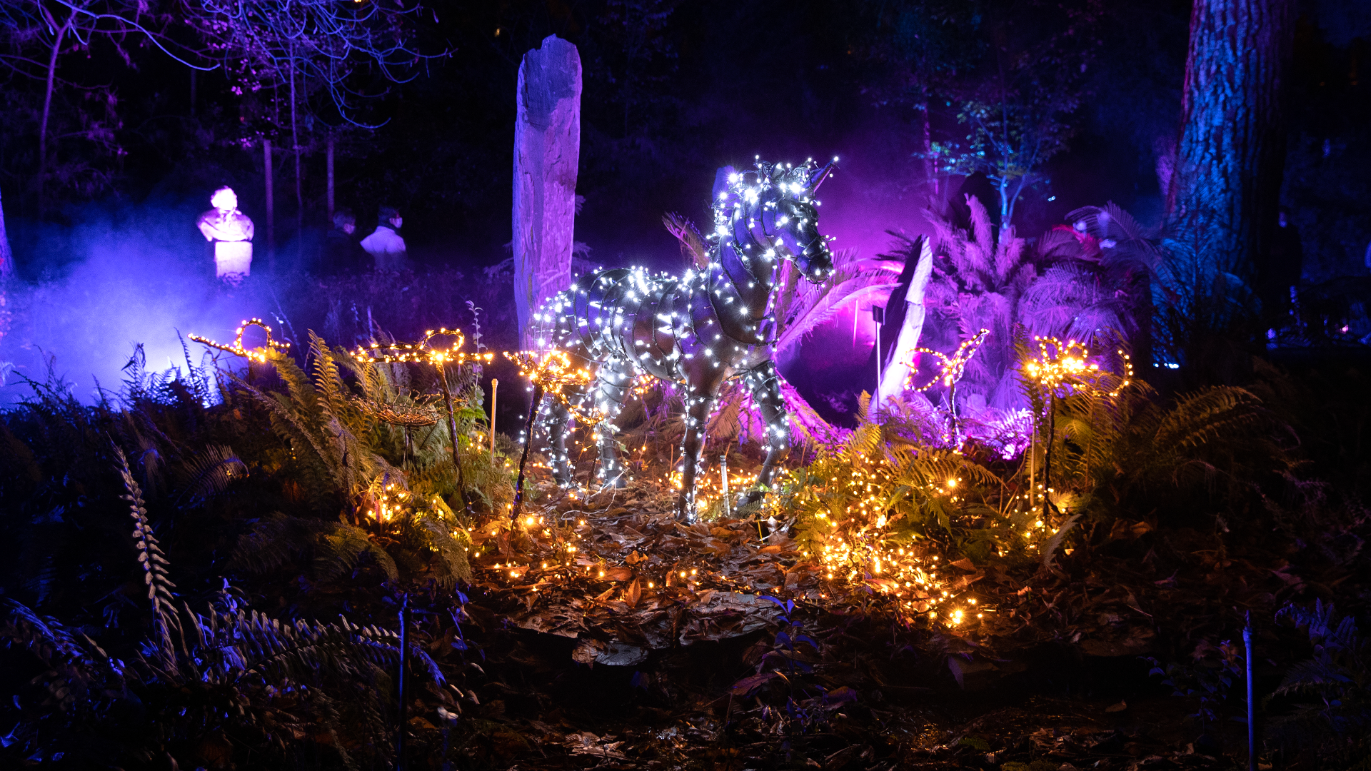 El Manantial de los Sueños Navidad Madrid 2025 El Manantial de los Sueños Madrid 2025 con luces, espectáculos y ambientación navideña en el Jardín Botánico.