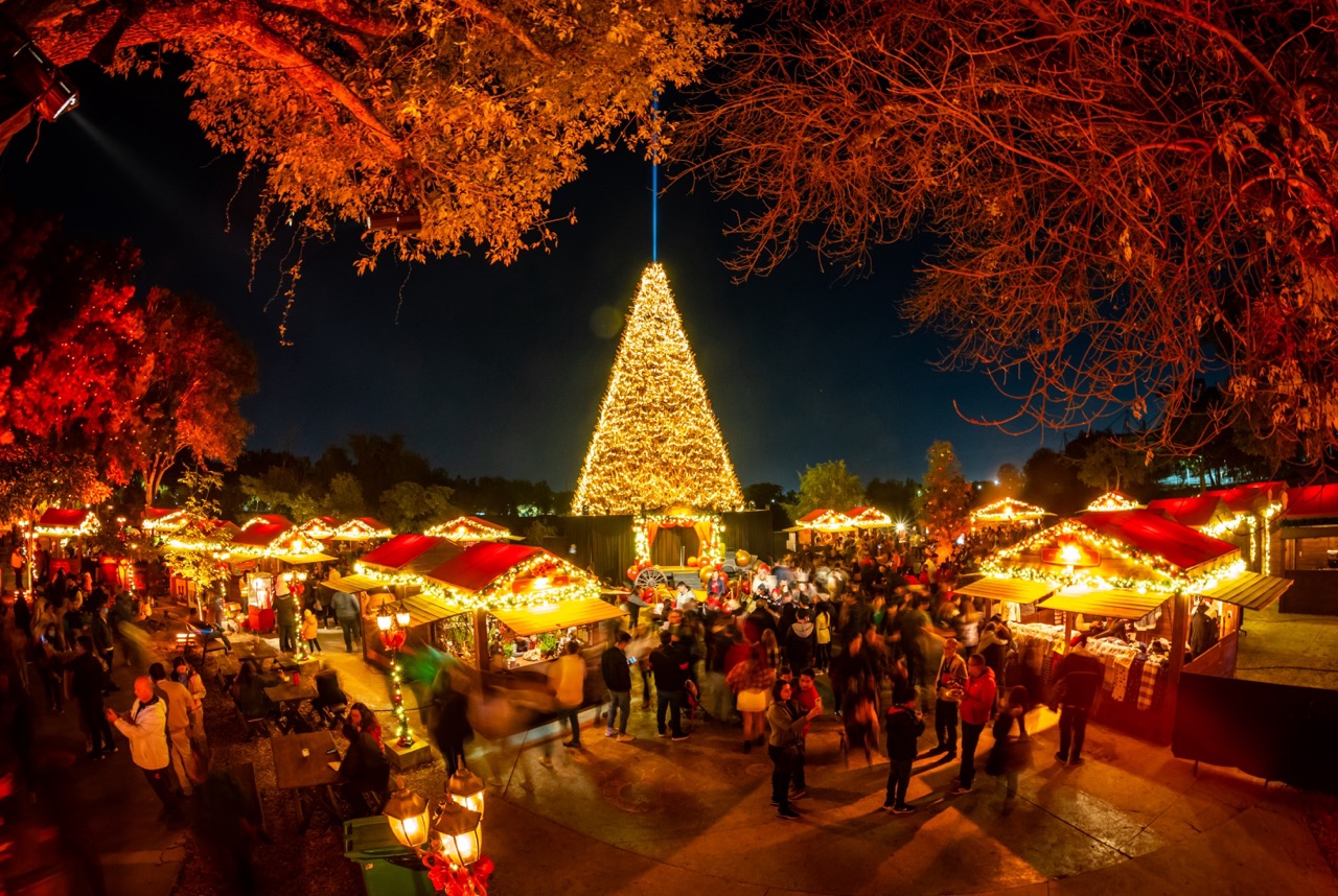 Luces de Navidad en Guadalajara 2025, decoración urbana y ambiente festivo en la ciudad.