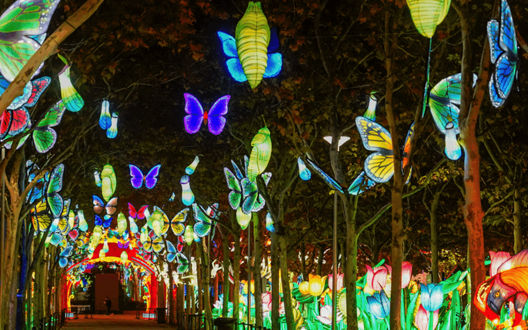 Planes navideños en Madrid 2025 con luces, espectáculos y actividades familiares en Navidad.